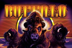 Buffalo